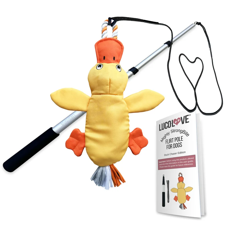 LUCOLOVE Baton de poursuite pour chiens – Ultra robuste, 35 pouces, leurre canard, jeu extérieur et entraînement