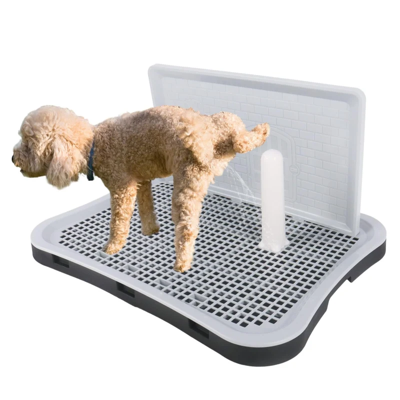 Dmnnlp Support Tapis-Pipi pour Chiens — Porte-Tapis Intérieur Gris avec Garde-Eau et Pied Central (51 cm x 39 cm)