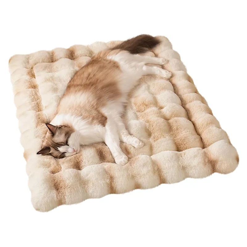 SOMAHE Tapis Chat Peluche – Tapis plat anti-dérapant 60×40 cm, Lavable en machine, Camel