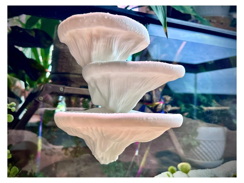 FROSTO Mushroom Ledge pour Terrarium – Plateforme d’escalade et repos avec ventouses (Bone, 6''×4.5''×5.25'')