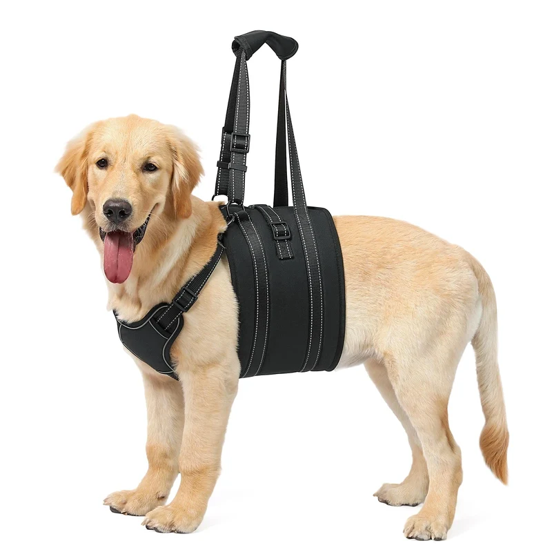 NOYAL Harnais de levage pour chien – Aide mobilité pour chiens âgés et blessés