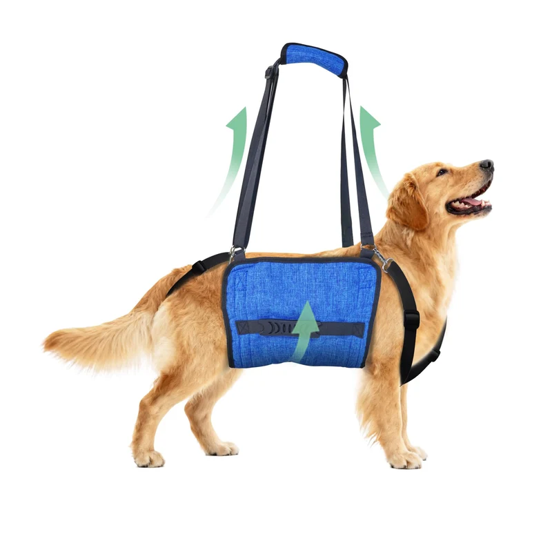 HAPPYHAO Harnais de Levage Ajustable pour Chien – Porte-Chien pour Soutien des pattes arrières, Moyen à Grand, XL