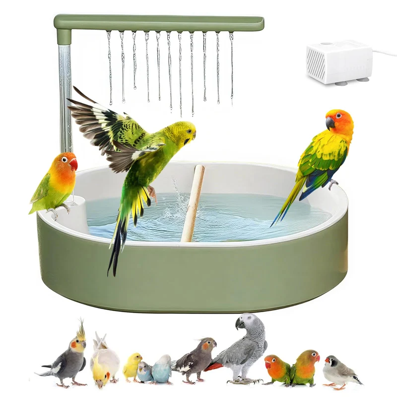 DINTSTYLE Baignoire Automatique pour Perroquets et Petits Oiseaux — Douche Intérieure avec Pompe et Port USB