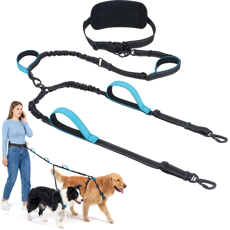 PawistaPal – Laisse mains libres pour deux chiens adultes, sans enchevêtrement, longe bungee 6–8 ft (50–150 lb)