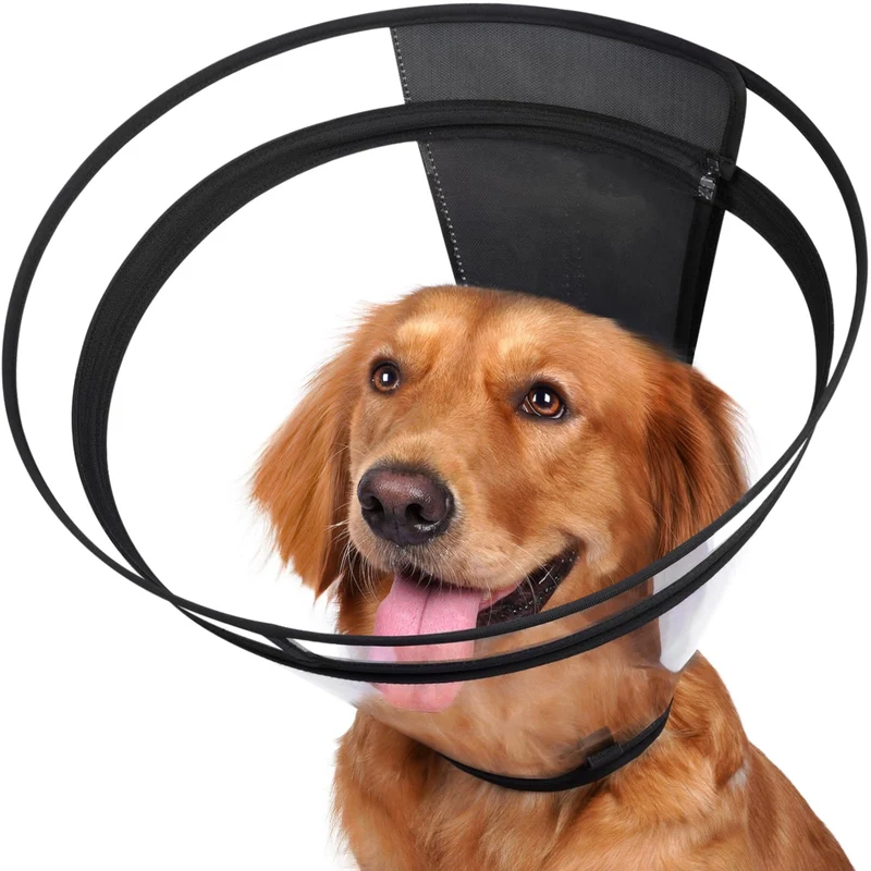 Didopet Cône de récupération Transparent XL-Long pour Chien – Évite le léchage, Vision claire