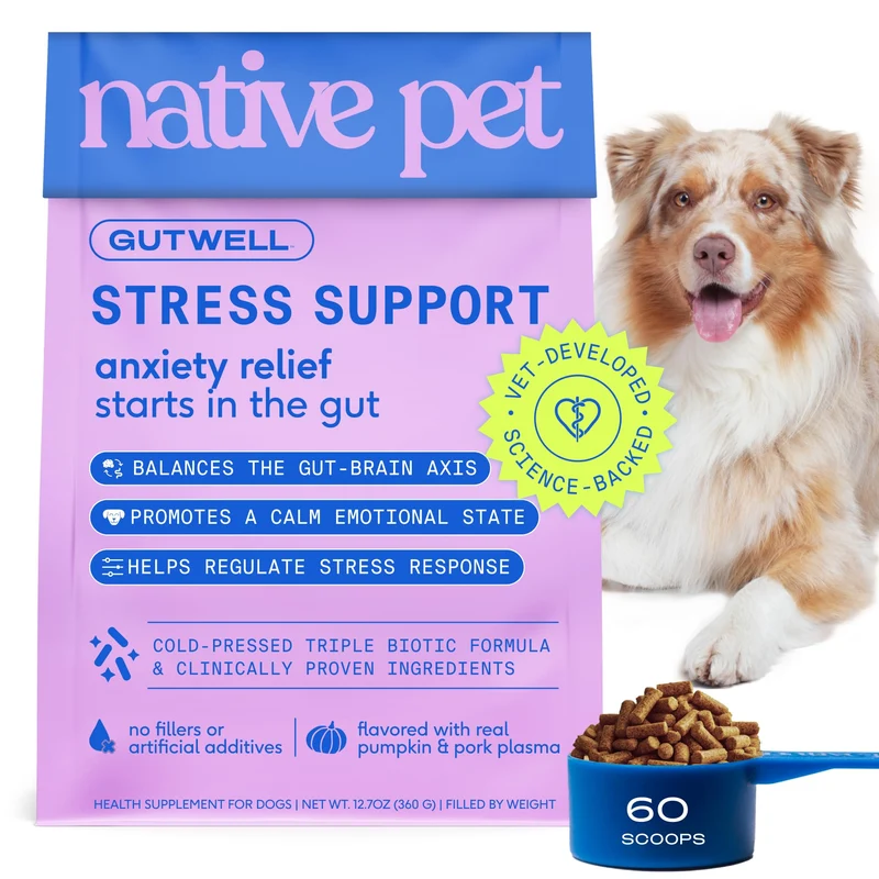 Native Pet GutWell Stress Support – Calme pour chiens anxieux, équilibre gut‑cerveau – Triple biotiques & Magnésium – 60 dosettes