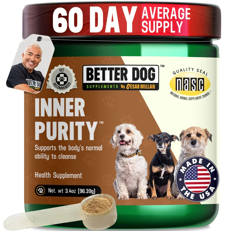 Better Dog Supplements par Cesar Millan – Inner Purity, purification intestinale et digestion pour chiens – Poudre 3,4 oz (60 jours)