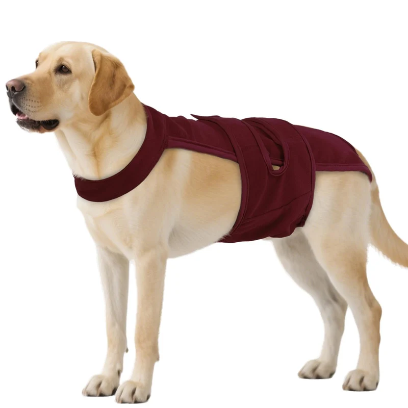 QBLEEV Couches pour Chienne avec Bretelles Ajustables – Culotte Sanitaire Réutilisable en Chaleur ou Incontinence
