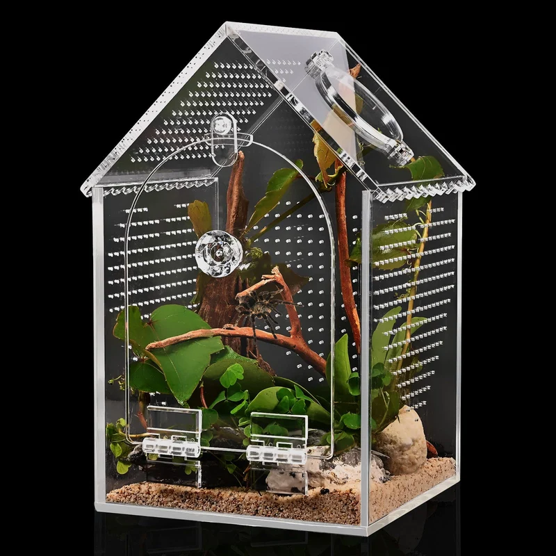 Cycodo Terrarium pour Tarantule – Acrylique Sans Déformation, Ouverture Frontale + Port d’Alimentation
