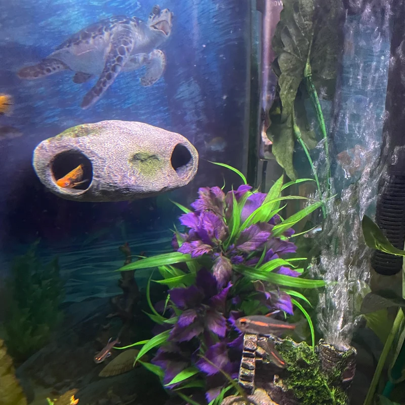 OrnaMounts – Caverne rocheuse magnétique pour aquarium, décor mural
