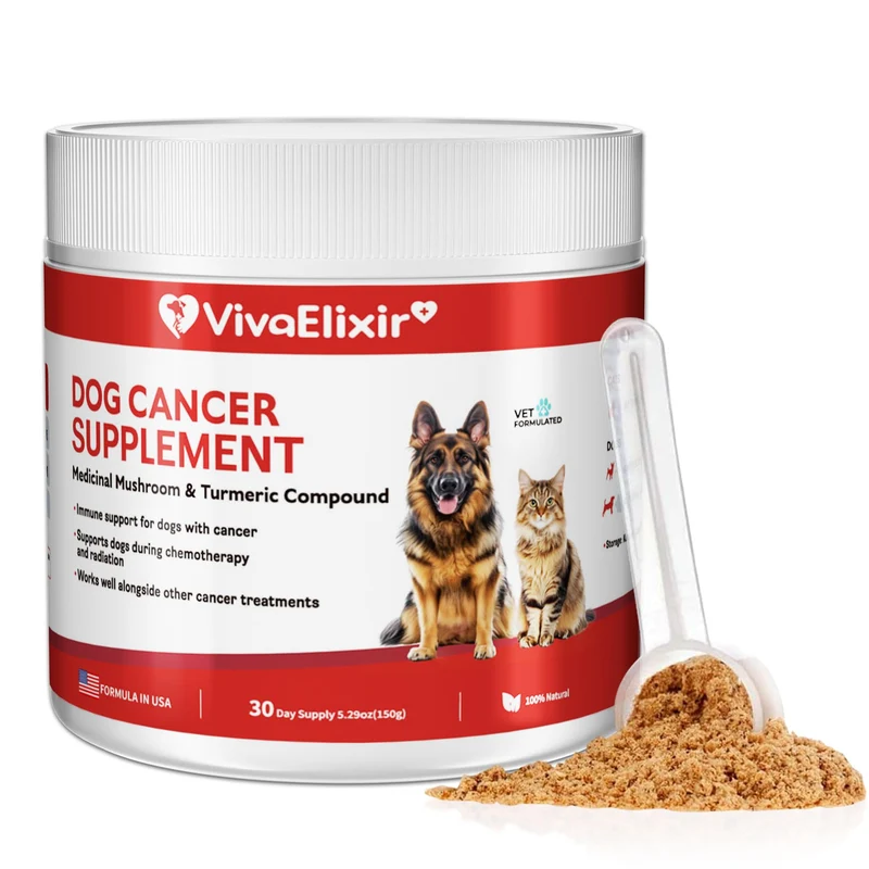 VivaElixir Poudre de Champignons – Supplément Adaptogène