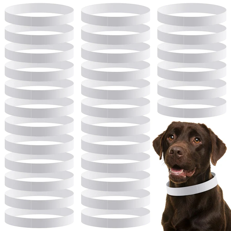 Clysee – Colliers d’identification en papier, lot de 500, 20 pouces, blanc, résistant à l’eau et sans latex