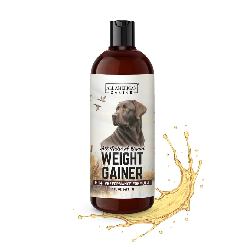 All American Canine Gain Poids Liquide – Haute Calories pour Chiens | Prise de Masse et Récupération – 60 Portions