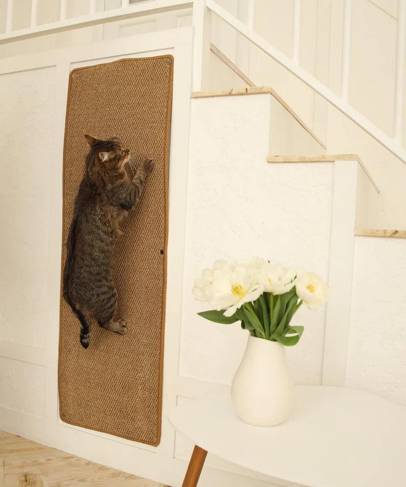 SANDPEAK Tapis Grimpeur Mur Chat – 50 x 17 po, Clous Fixes | Griffoir Mural et Tapis d'Escalade