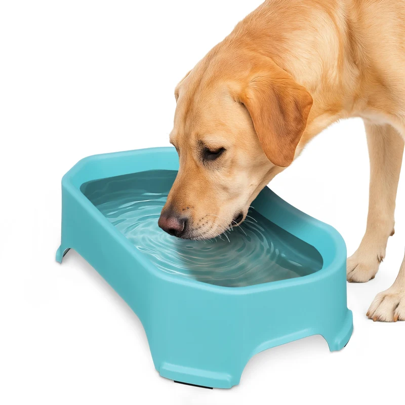 Neater Pet Brands – Gamelle d’eau extralarge pour chiens (1,25 gal) – Extérieur, anti-déversement, Aquamarine