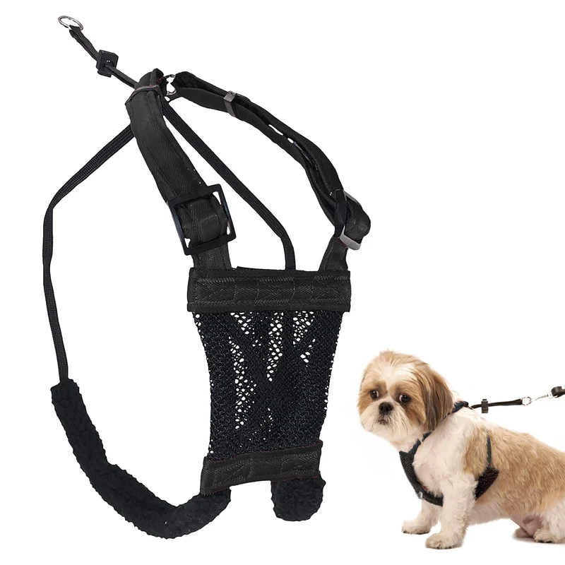 Sporn Harnais Anti-Pull pour Petit Chien – Nylon Mesh Durable et Confortable