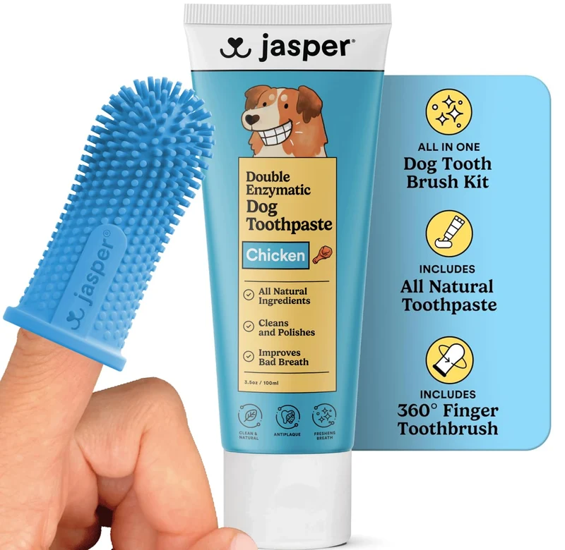 Jasper Kit Dentaire Chien — Brosse 360 et Pâte Enzymatique Bacon & Poulet
