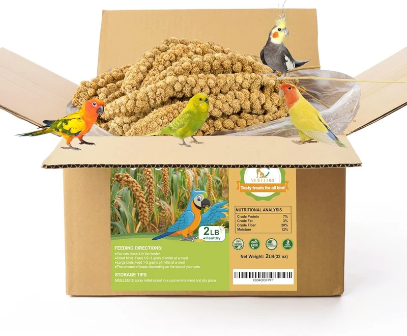 MEILLEURE Millet en spray pour oiseaux – Millet naturel pour Perruches, Cacatoès et Autres, Sans Additifs