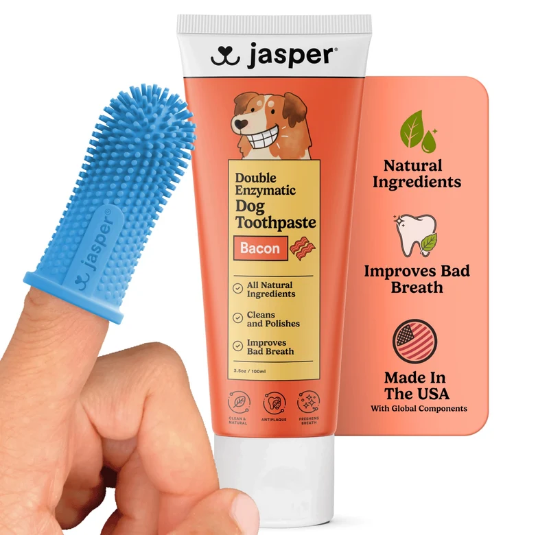 Jasper Kit Brossage Dents Chien — Dentifrice Enzymatique Saveur Bacon, 60 ml