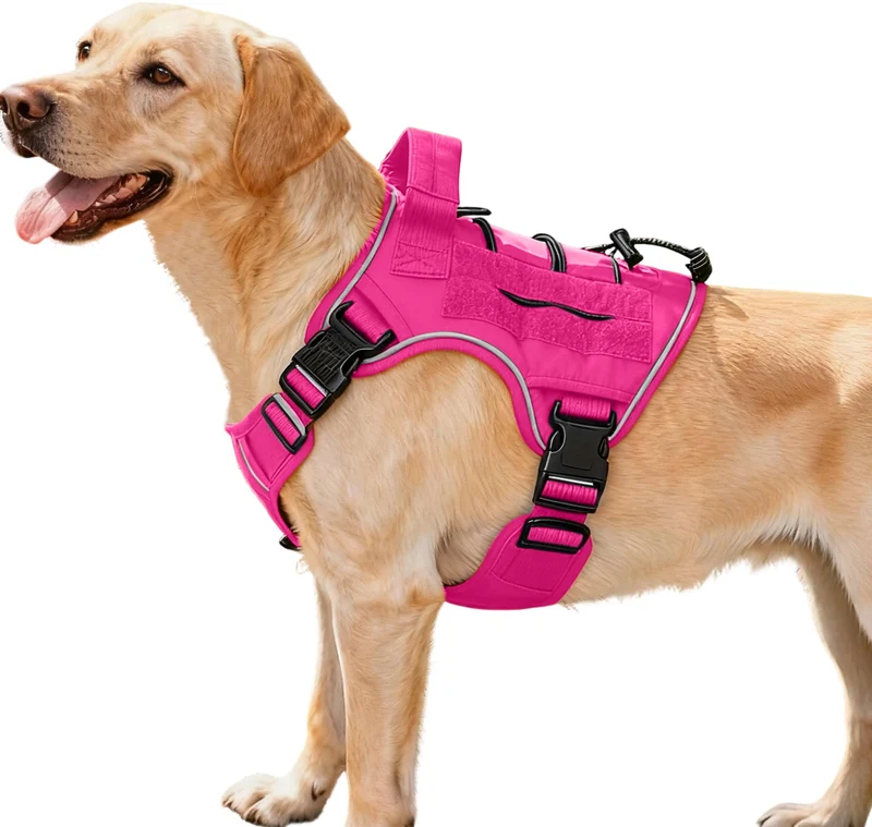 Bruvoalon Harnais Tactique pour Gros Chiens – Rose Foncé, Molle, Réglable