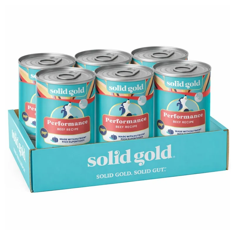 Solid Gold – Alimentation humide haute protéine pour chiens de toutes tailles, sans céréales, bœuf réel, prébiotiques et super-aliments – Tous âges – 6 boîtes 374 g