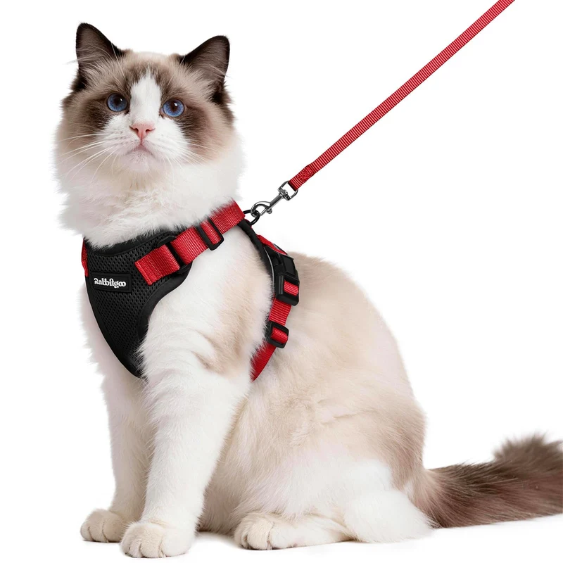 rabbitgoo Harnais et Laisse pour Chat — Harnais gilet réglable, maille aérée, bandes réfléchissantes, noir et rouge, taille M