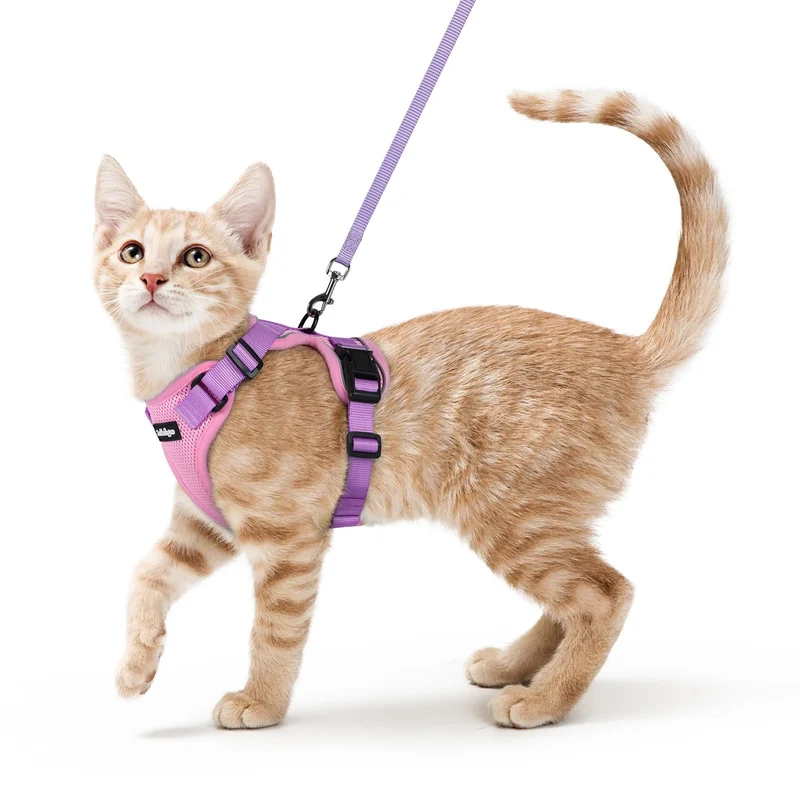 rabbitgoo Harnais et Laisse pour Chats – Anti-fuite, Confort Doux, Ajustable, Bandes Réfléchissantes – Rose et Violet XS