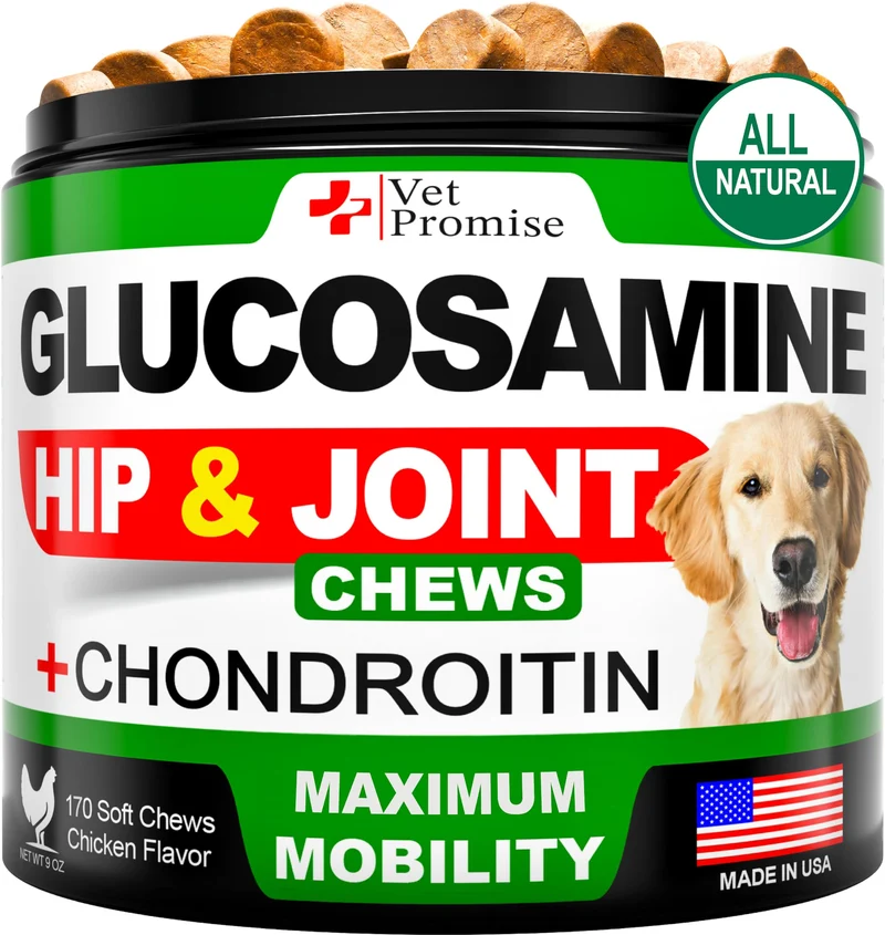Vet Promise Glucosamine pour Chiens – Soin des hanches et des articulations | 170 bouchées mobilité | Glucosamine, Chondroïtine, MSM | Fabriqué aux États-Unis