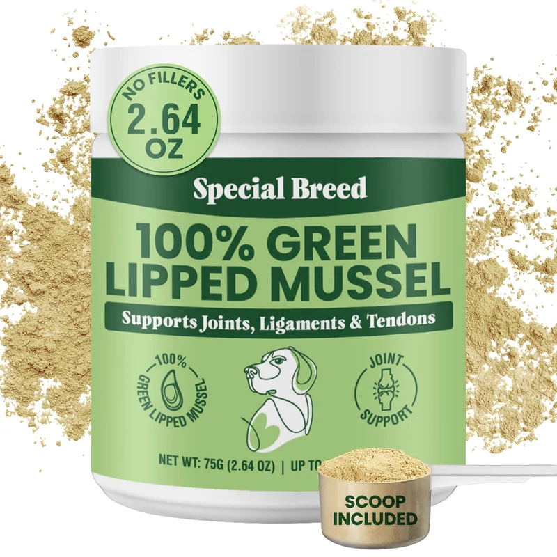 Special Breed Poudre de Moules Vertes Nouvelle-Zélande – Pour Chiens et Chats, Soin Naturel des Articulations, 75 g (jusqu'à 250 portions)