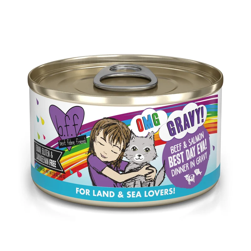 Weruva B.F.F. OMG – Mon Meilleur Ami Félin, Boeuf et Saumon en Sauce, 12 Boîtes de 79 g