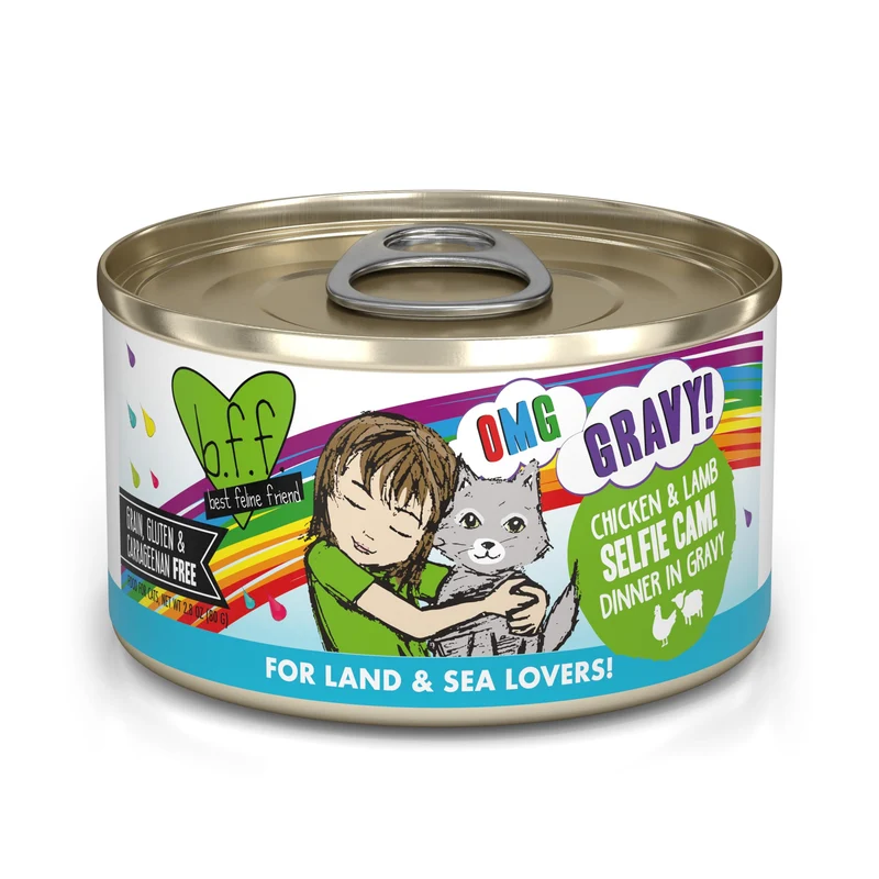 Weruva B.F.F. OMG – Meilleur Ami Félin Oh My Gravy Selfie Cam avec Poulet et Agneau en Sauce, 12×2,8 oz