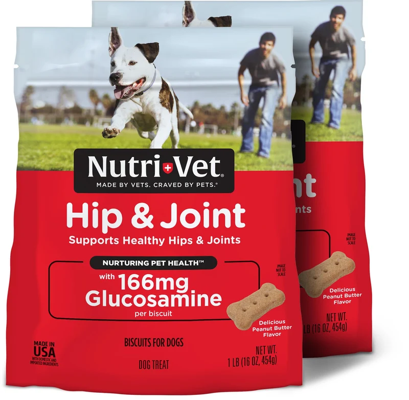 Nutri-Vet Biscuits pour Hanches et Articulations des Chiens – Supplément d’Articulations, Saveur Cacahuète, 166 mg Glucosamine, Lot de 2 x 16 oz