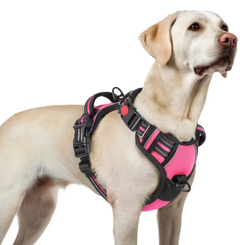 rabbitgoo Harnais pour Grand Chien – anti-tirage, 3 boucles, poignée, reflet nocturne, rose, taille L