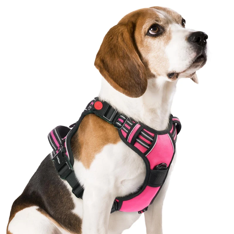 Rabbitgoo Harnais Chien Moyen Rose – Anti-Tirage, 3 Boucles, Confort et Visibilité