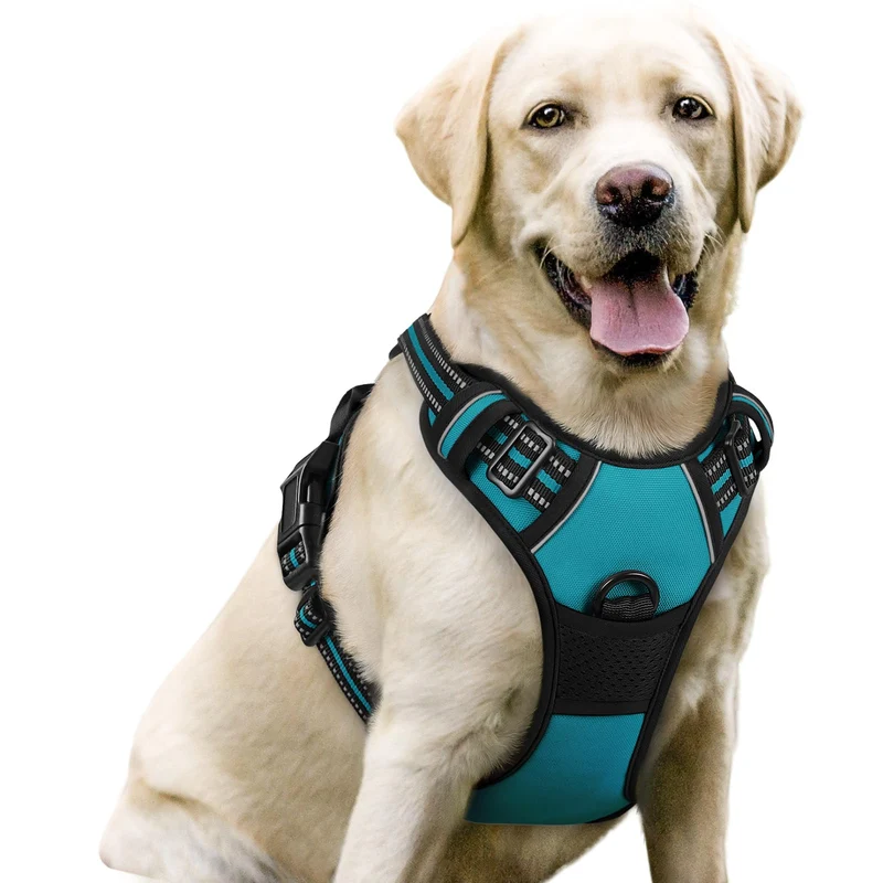 rabbitgoo Harnais Chien Sans Tir - 2 Attaches, Rembourré et Réfléchissant, Taille L, bleu-vert