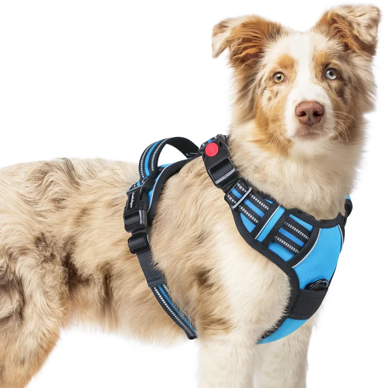rabbitgoo Harnais Chien Moyen – Sans Tir, 3 Boucles, Doux et Réfléchissant Bleu Ciel, Taille M