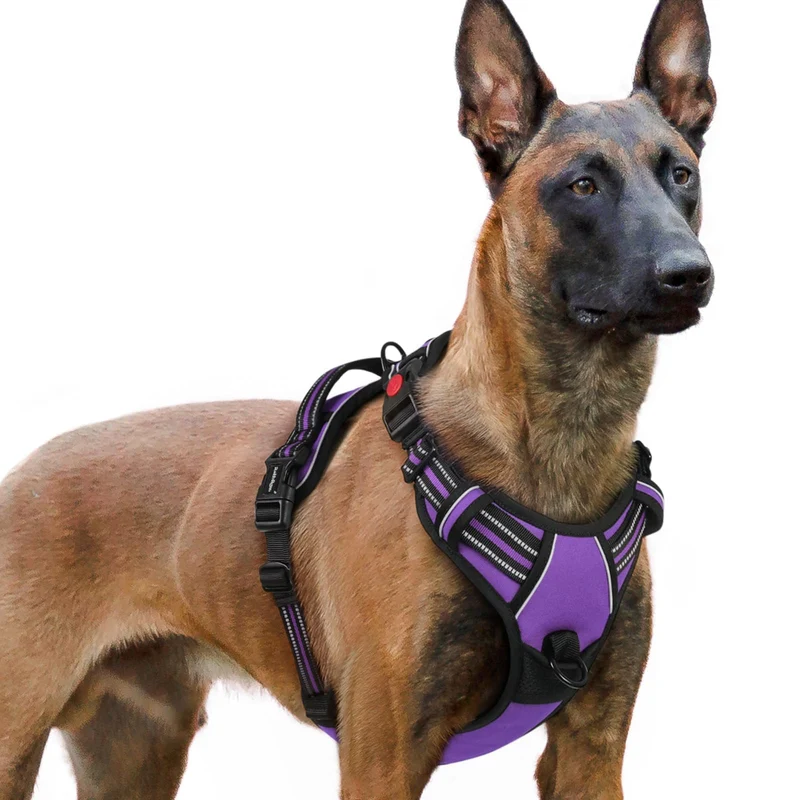 Rabbitgoo Harnais Chien Grand Anti-Tirage — 3 Boucles, Sangles Ajustables, Poignée, Réfléchissant Violet XL