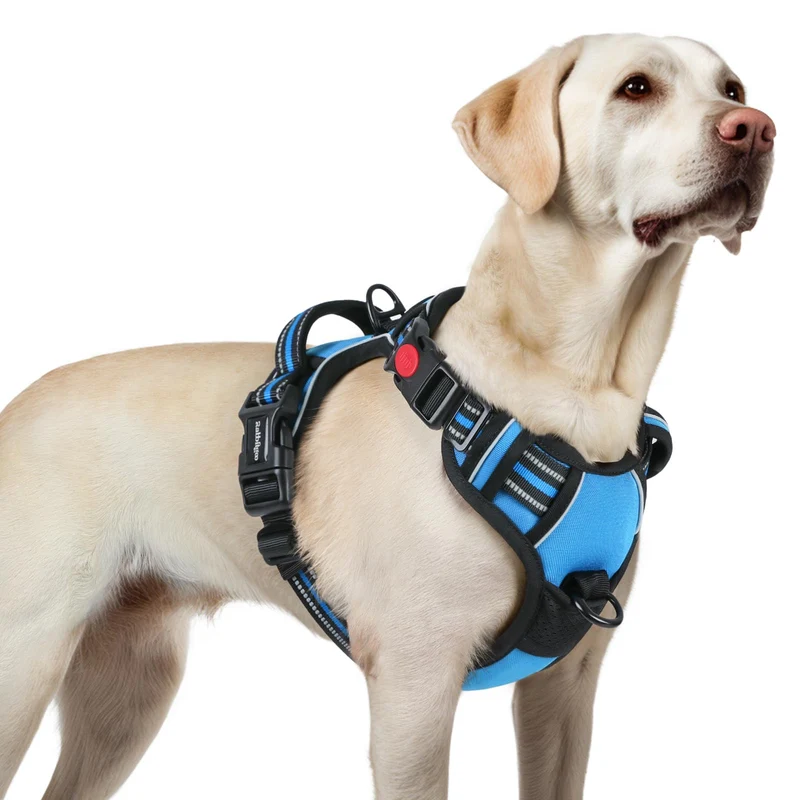 rabbitgoo Harnais anti-tirage pour chien grand – 3 boucles, ajustement parfait, confort rembourré et sécurité bleu ciel | Taille L