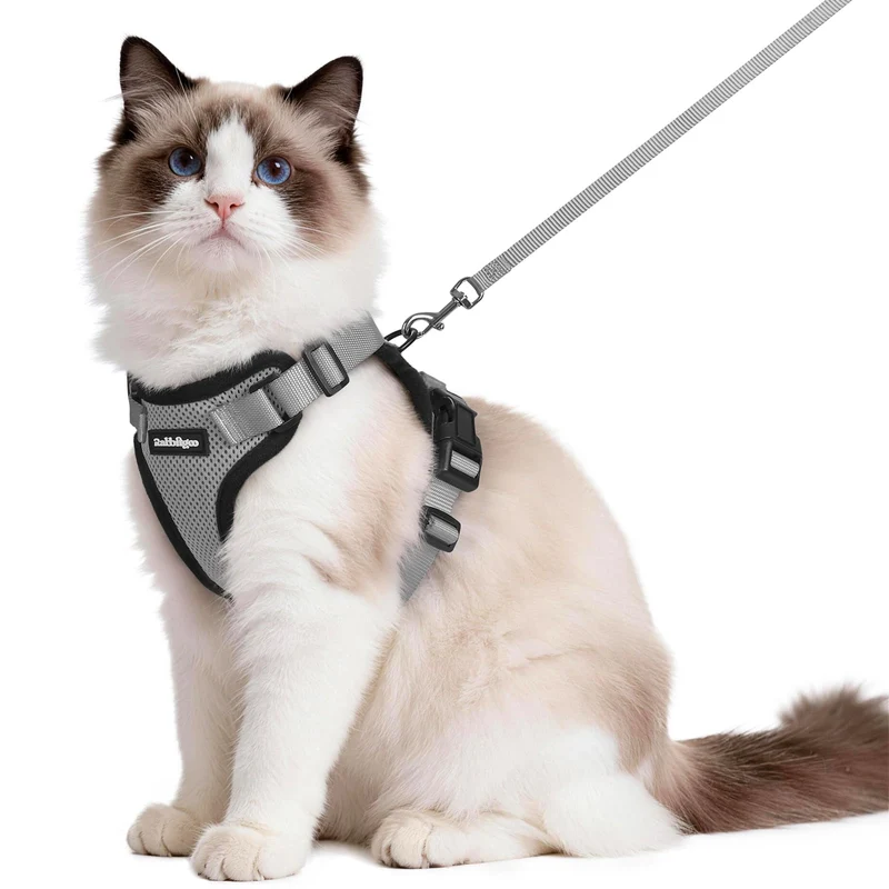 Rabbitgoo Harnais et Longe pour Chat — Confort Respirant, Sécurité et Visibilité, Gris, Taille M