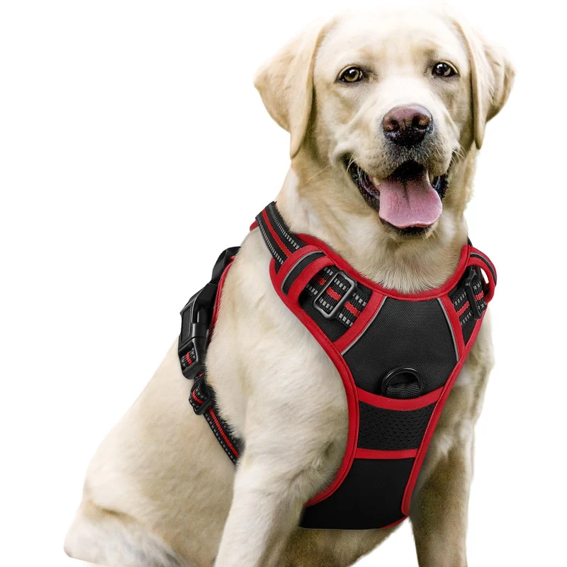 rabbitgoo Harnais Chien Anti-Tir avec 2 Attaches – Rembourré Doux, Réfléchissant, Poignée de Contrôle – Grand Chien L