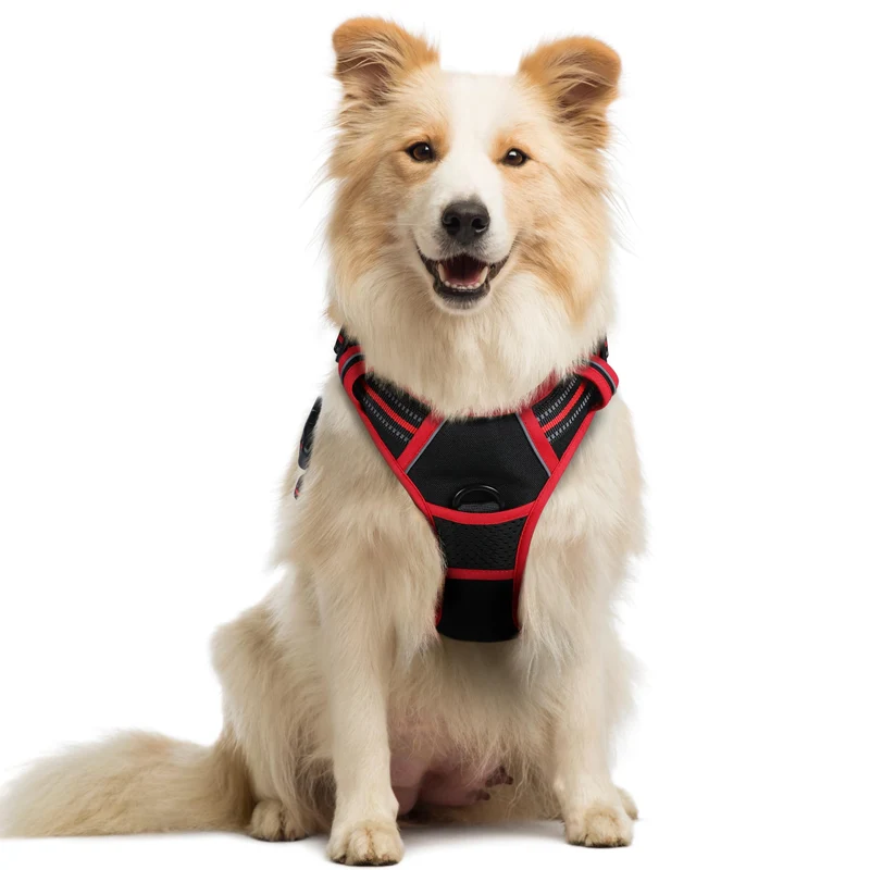 Rabbitgoo Harnais anti-tir pour chien (2 clips), taille M – confort rembourré, poignée de contrôle, noir & rouge