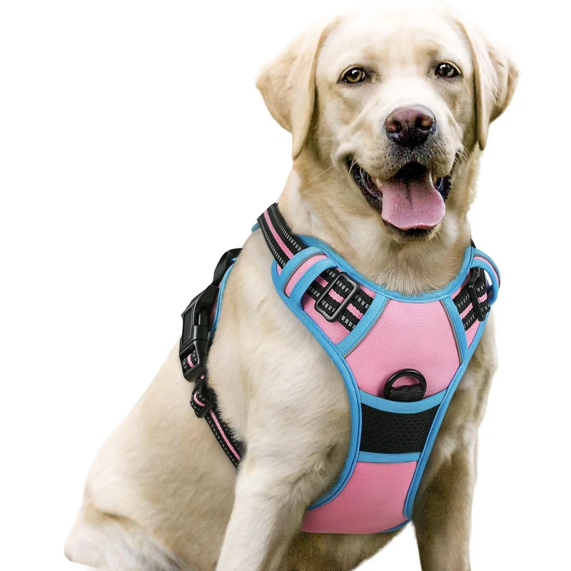 rabbitgoo Harnais Chien Pas-Tirer Large - 2 Attaches, Rembourrage Doux, Poignee, Rose et Bleu