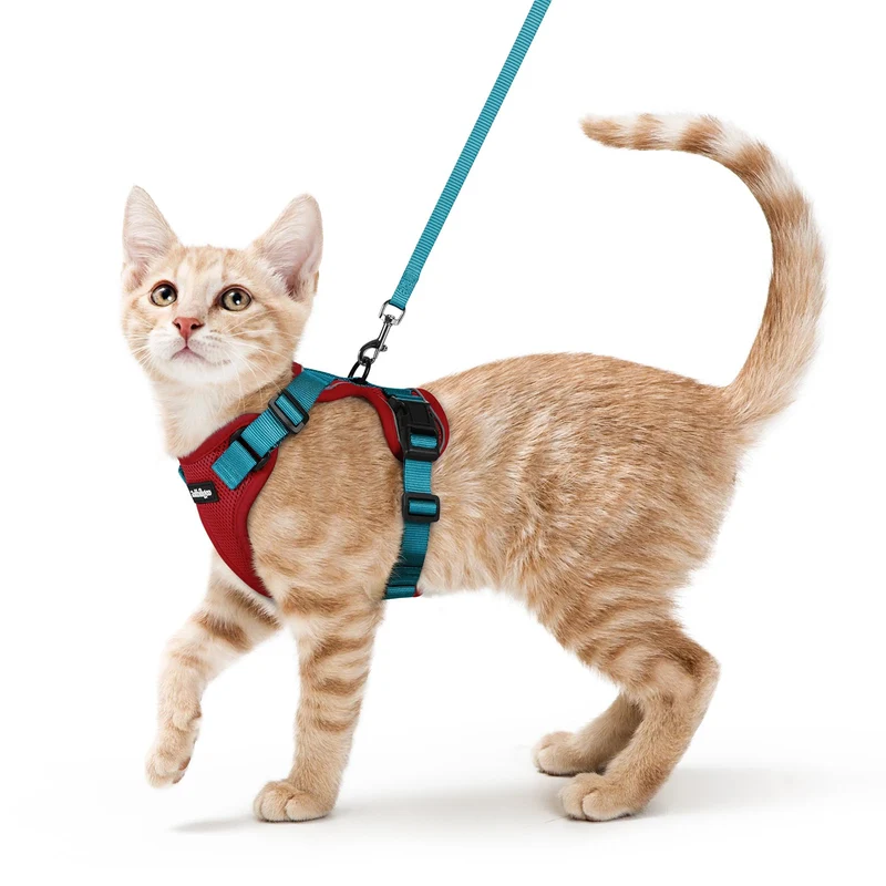 rabbitgoo Harnais et Laisse pour Chat — Anti‑Évasion, Harnais Respirant, Boucles Rapides, Bandes Réfléchissantes, Rouge et Bleu-Vert, Taille S