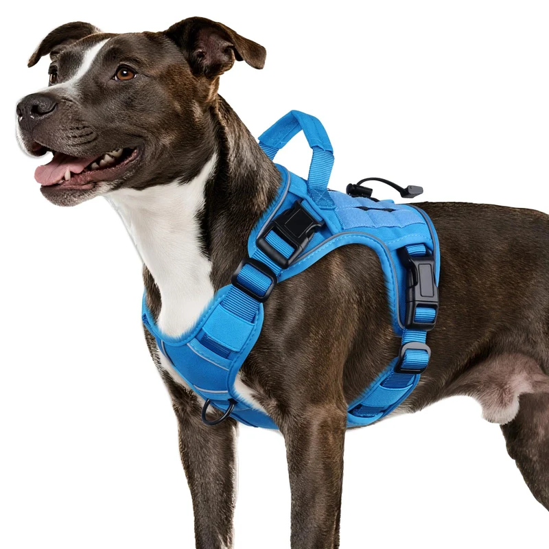 Harnais tactique Wingoin pour chien moyen – bleu, anti-tirage, poignée et bandes réfléchissantes