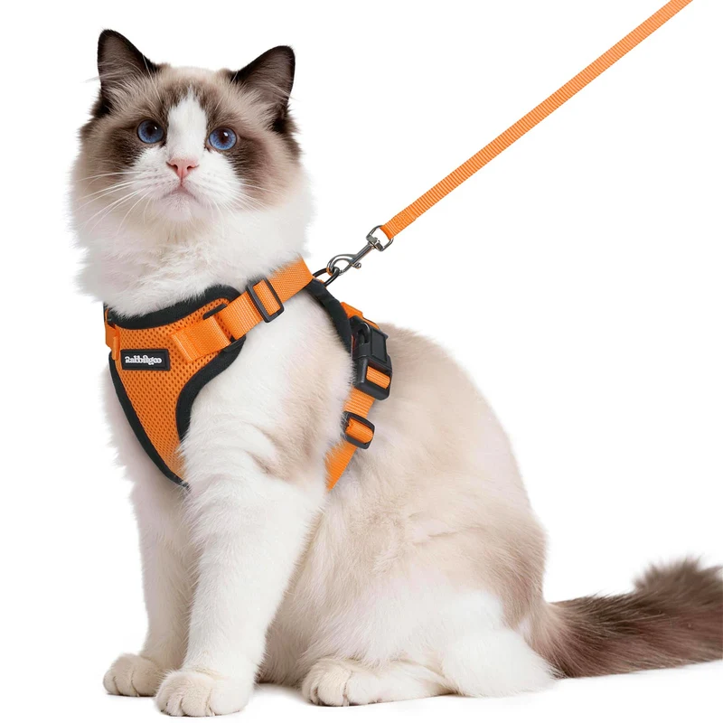 rabbitgoo Harnais et Laisse pour Chat – Anti-Fuite, Confort Aéré, Réfléchissant, Orange, Taille M