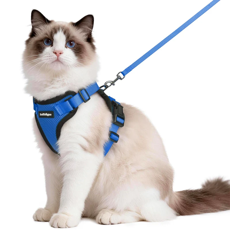 rabbitgoo Harnais pour Chat – Anti-Évasion, Confort Respirant et Laisse 4,9 pieds – Navy – M