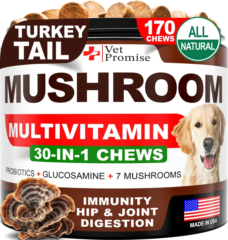 Vet Promise — Champignon thérapeutique pour chiens, 170 Gommes – Immunité et Santé Globale