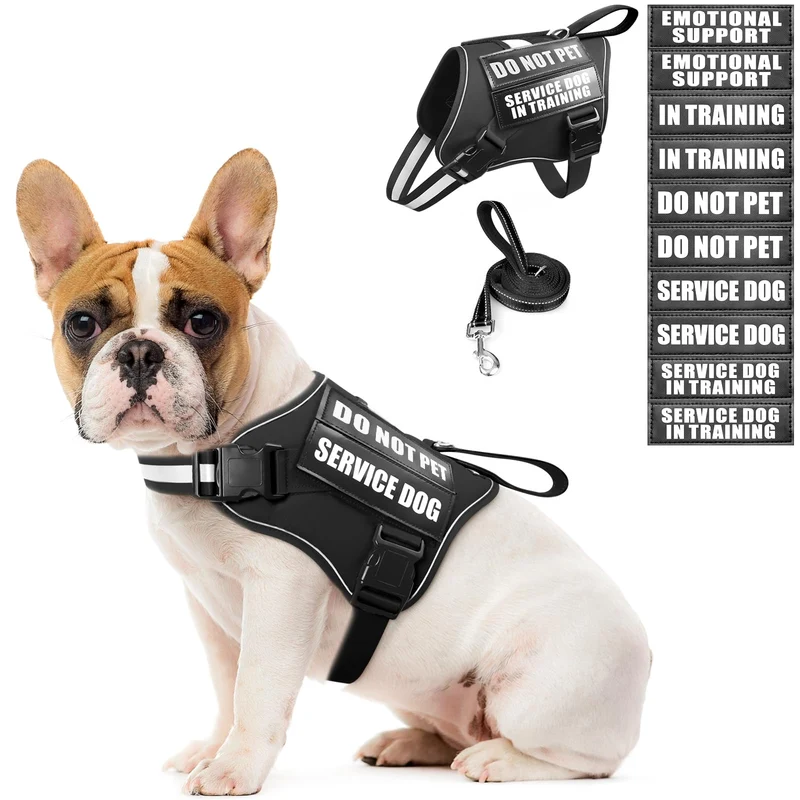 MOOGROU Harnais et Laisse pour Chien de Service – Ensemble avec 10 Patchs Lumineux