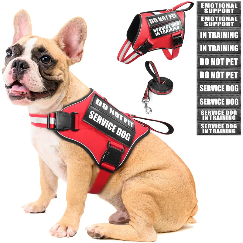 MOOGROU Harnais-service pour chien avec laisse et patches — réglable, réfléchissant, poignée rembourrée (Rouge M)