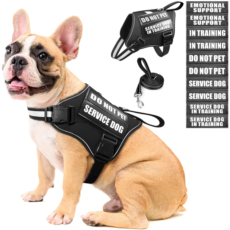 MOOGROU Harnais Chien de Service Anti-Tirage + Laisse et Patchs – Réfléchi, Confortable, Facile à Mettre, Tailles S à XL, Noir M